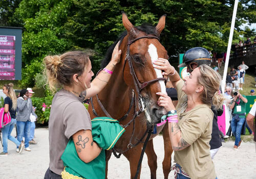 Description de l'image