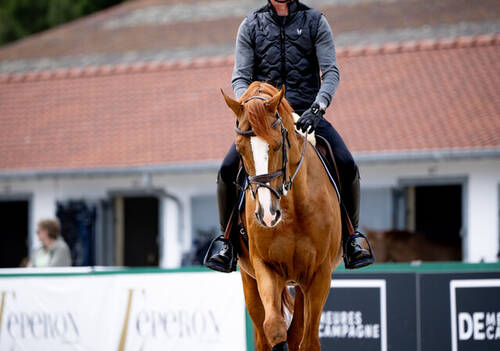 Daniel Deusser returns to La Baule