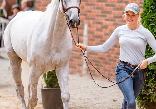 Description de l'image