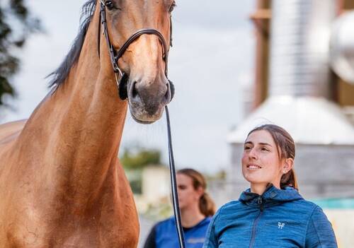 Description de l'image