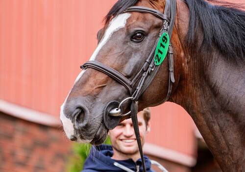 Description de l'image