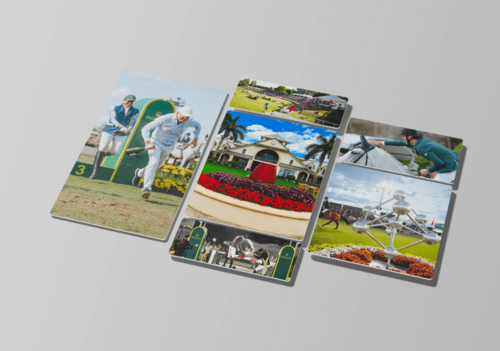 Stay connected to the action!