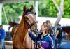 WELCOME TO THE 92nd CSIO ROMA - PIAZZA DI SIENA, A ROLEX SERIES EVENT