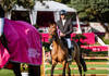 Richard Vogel Eyes Rolex Grand Prix Glory in Dinard
