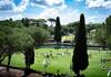 FROM AN INTENSE WEEK TO THE ROLEX GRAN PREMIO ROMA