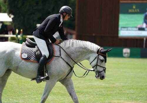 Grand Prix; 767, Ennebel van het Posthuijs, Peter Petschenig; Sportfot