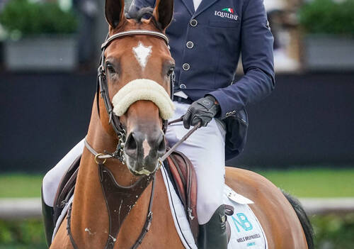 Niels Bruynseels (BEL) riding Matador during the Brussels Stephex Masters on August 25, 2023 in Brussels, Belgium. (Photo by Pierre Costabadie/Icon Sport)