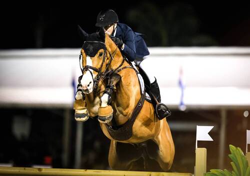 Mclain Ward & Ilex (C) Sportfot