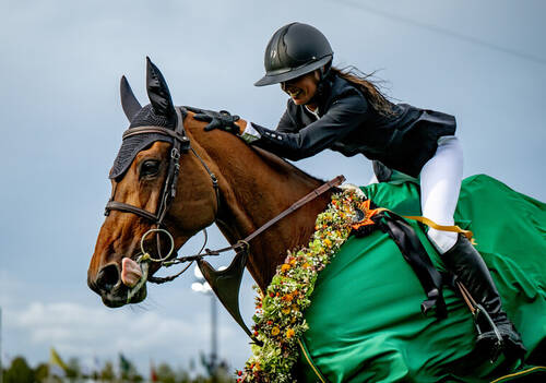 Description de l'image