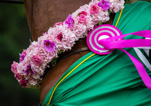 Jumping de Dinard 2023. Rolex Grand Prix Ville de Dinard. 
Megane MOISSONNIER (FRA). CORDIAL
© Images'Inn Photographie