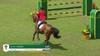 Karl Cook with Caracole de la Roque - Jumping International CSIO5* - CSI1* 2024 - Round 1