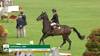 Tim Gredley with Imperial Hbf - Dublin Horse Show 2024 - Round 1