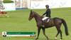 Bertram Allen with Caprisco - Dublin Horse Show 2024 - Round 1