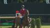 Pius Schwizer with Just Special Vk - Brussels Stephex Masters 2024 - Round 1