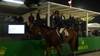 Conor Swail with My Lady Lavista - CSI 5* Wellington 2025 - Round 1