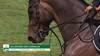 Peder Fredricson with Alcapone des Carmille - CSIO 5* La Baule 2025 - Round 1