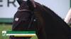Nicola Philippaerts with Katanga V/h Dingeshof - CSIO 5* La Baule 2025 - Round 1