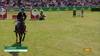 Steve Guerdat with Dynamix de Belheme - CSIO 5* Falsterbo 2025 - Round 2