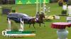Christian Kukuk with Just Be Gentle - CSIO 5* Bruxelles 2025 - Round 1