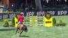 Karl Cook with Caracole de la Roque - CSIO Rome - Piazza di Siena 2024 - Round 1