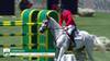 Eugenio Garza Perez with Contago - CSIO Rome - Piazza di Siena 2024 - Round 1