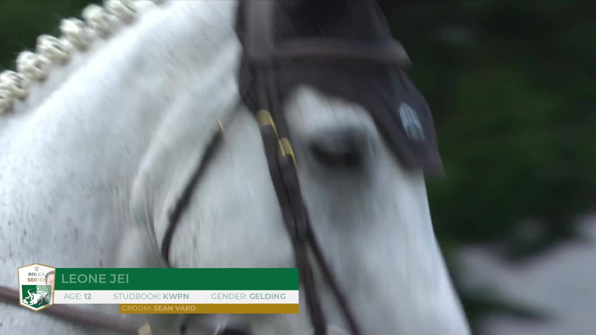 Martin Fuchs with Leone Jei - Jumping International CSIO5* - CSI1* 2024 - Round 1