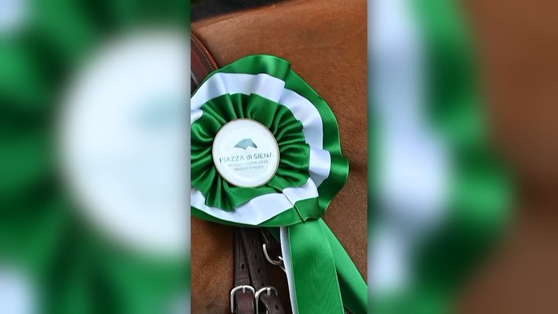 Karl Cook and Caracole for the win ! 