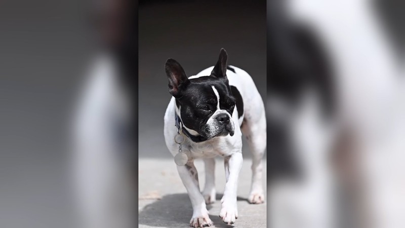 Touchdown in La Baule