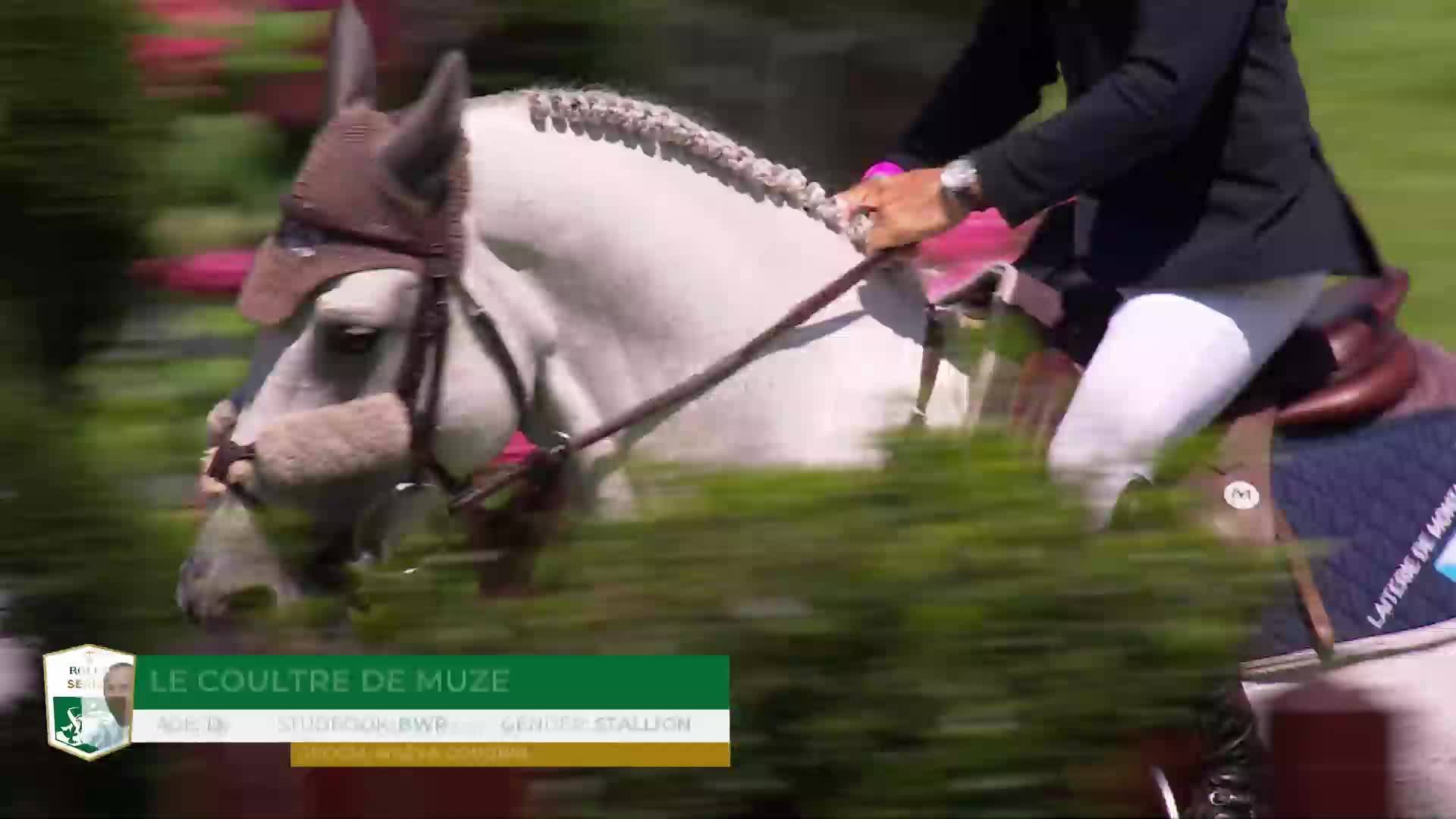 Stephan De Freitas Barcha with Dinozo Imperio Egipcio - CSIO 5* Bruxelles 2025 - Round 1