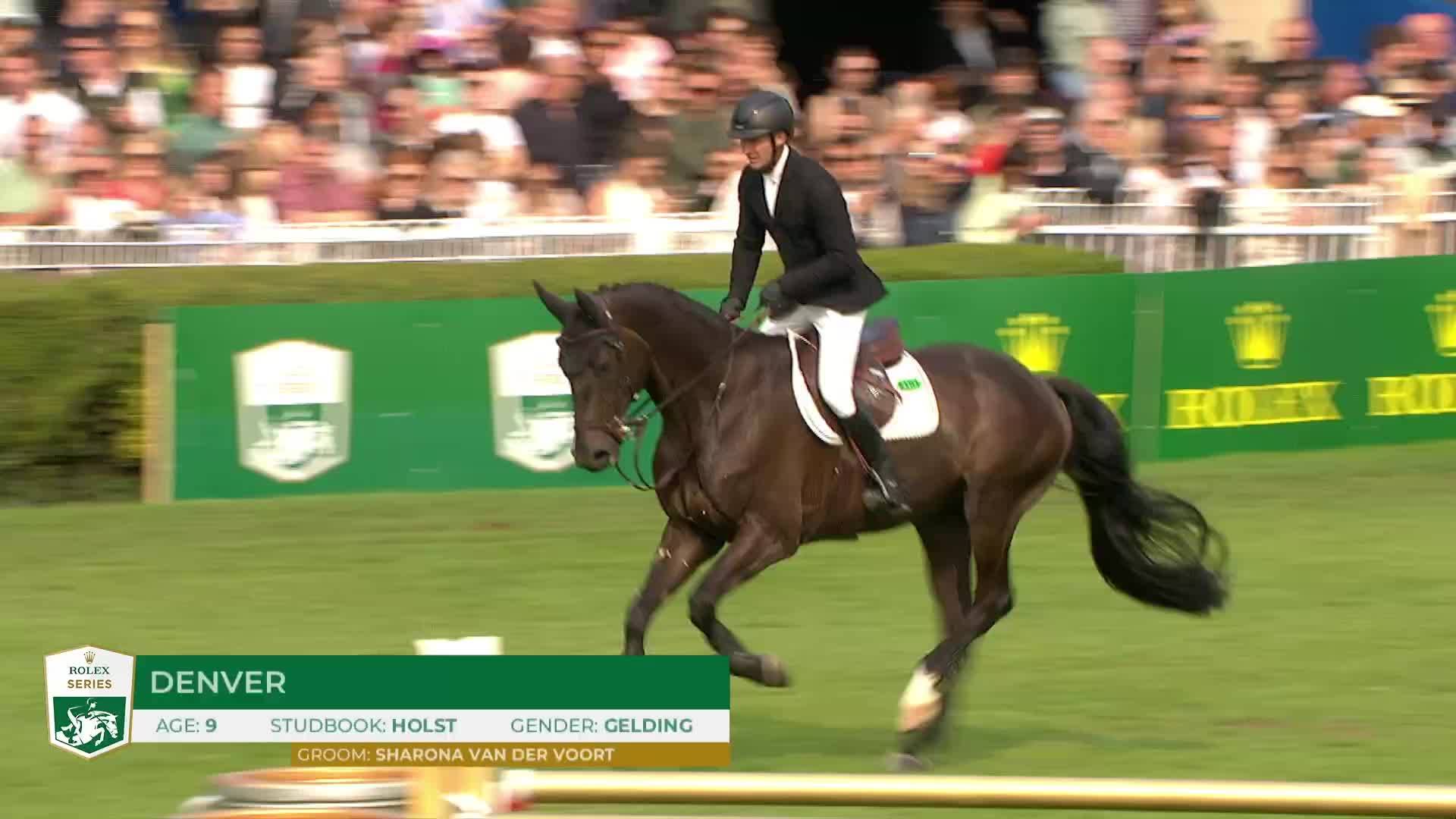 Michael Greeve with Denver - Dublin Horse Show 2024 - Round 1