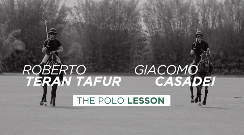 The Polo Lesson - Wellington 