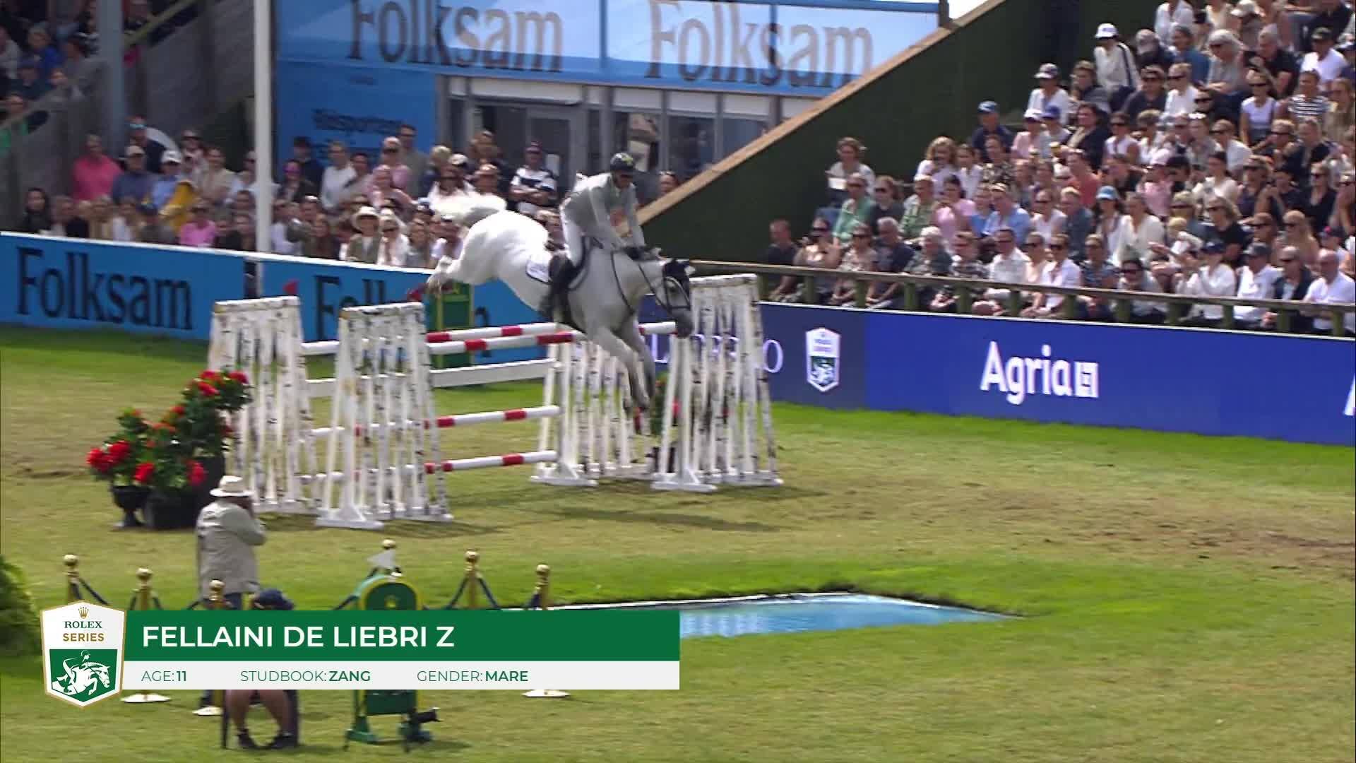 Marcus Westergren with Fellaini de Liebri Z - CSIO 5* Falsterbo 2025 - Round 1