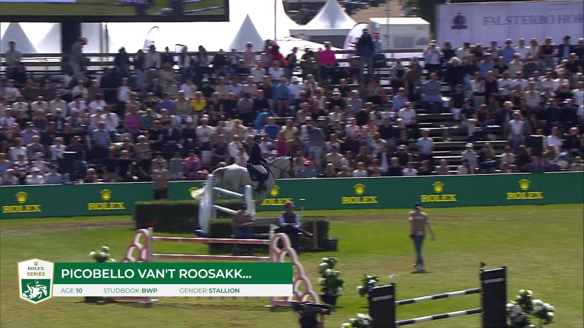 Jason Smith with Picobello Van't Roosakker - CSIO 5* Falsterbo 2025 - Round 1