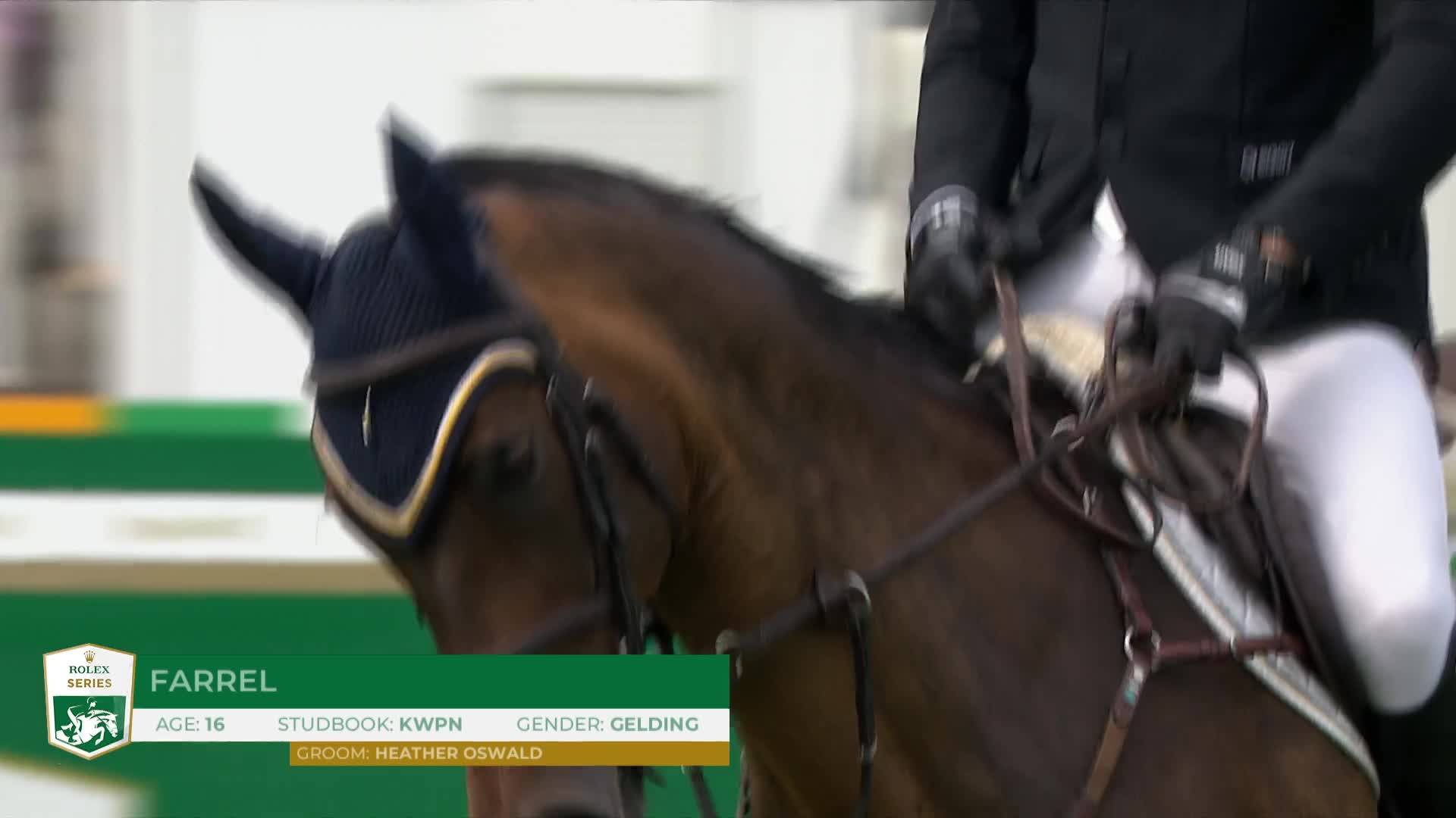 Daniel Coyle with Farrel - CSIO 5* Dublin 2026 - Round 1