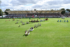 ras dublin horse show