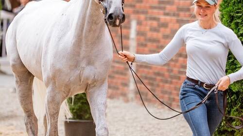 RDS DUBLIN HORSE SHOW 2025