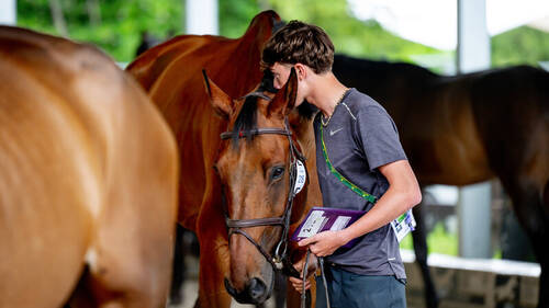 CSIO ROMA - PIAZZA DI SIENA 2025