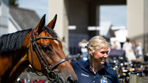 FALSTERBO HORSE SHOW 2025