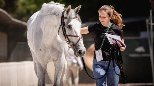 CSIO ROMA  PIAZZA DI SIENA 2026