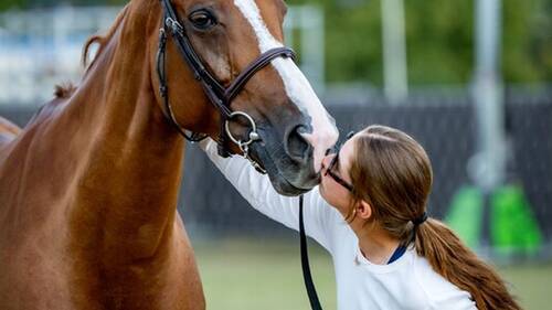 BRUSSELS STEPHEX MASTERS 2025