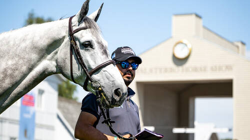FALSTERBO HORSE SHOW 2025